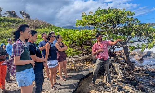 Standing Hand-in-Hand: Reflections on Reclamation, Partnership, and Possibility in Hawaiʻi