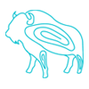 bison-turq