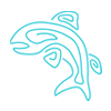 salmon-turq