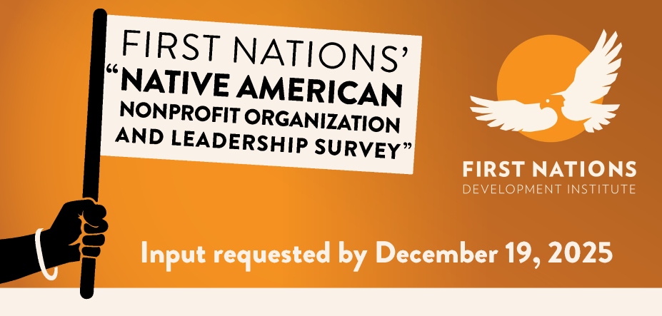 Native American Nonprofit Organization and Leadership Survey thumbnail